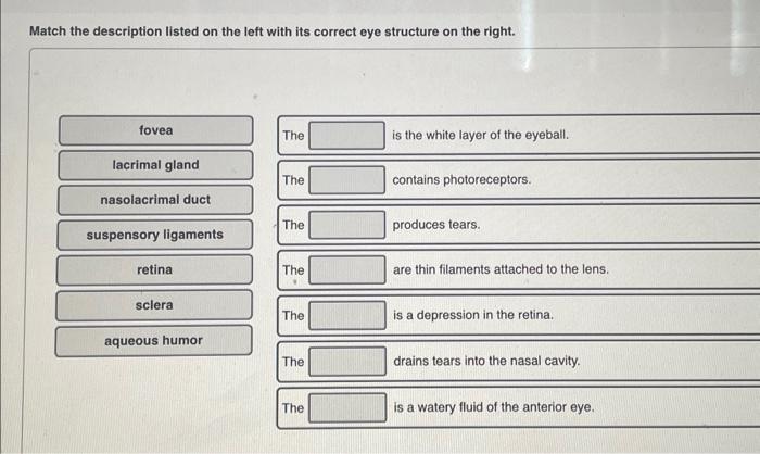 Solved Match the description listed on the left with its | Chegg.com
