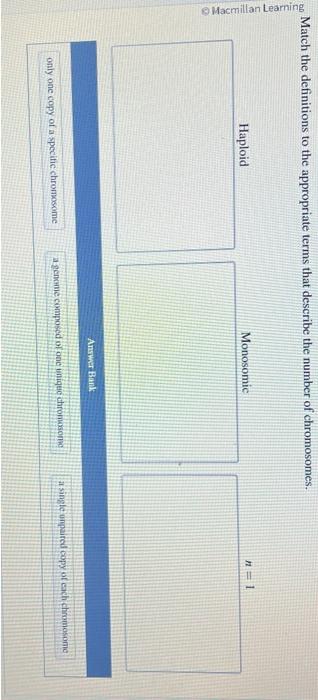 Solved Question 1 of 1 Macmillan Learning Match the terms to