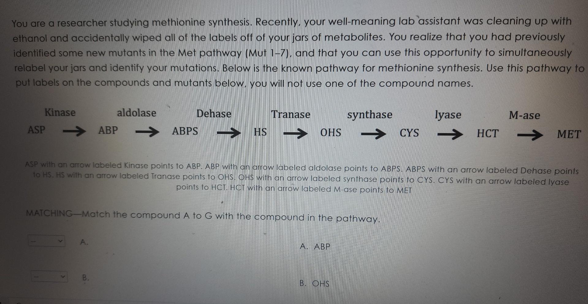 Solved 18) Enzyme Missing A B с Muti Mut 2 . + Mut 3 Mut 4 . | Chegg.com