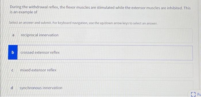 Solved During The Withdrawal Reflex, The Flexor Muscles Are | Chegg.com