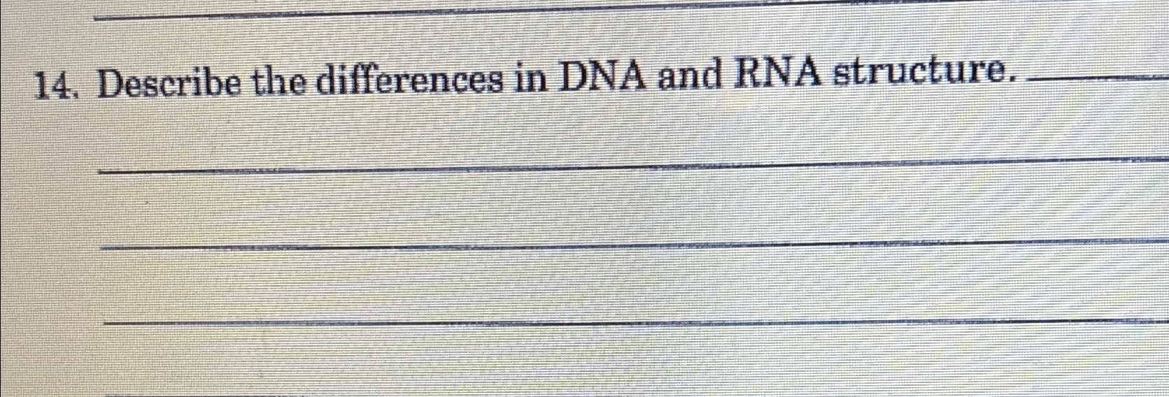 Solved Describe the differences in DNA and RNA structure. | Chegg.com
