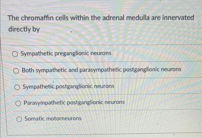 The chromaffin cells within the adrenal medulla are innervated directly by
Sympathetic preganglionic neurons
Both sympathetic