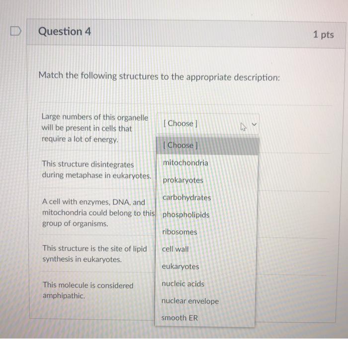 Solved Question 4 1 pts Match the following structures to | Chegg.com