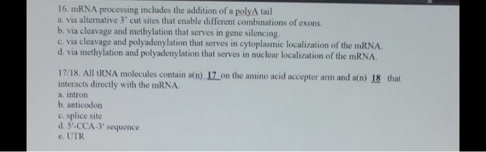 Solved 16. mRNA processing includes the addition of a polyA | Chegg.com