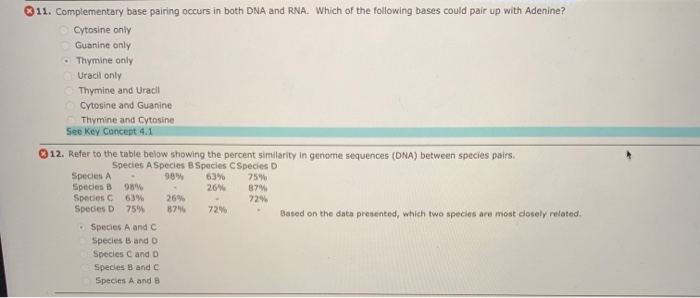 011 Complementary Base Pairing Occurs In Both Dna Chegg Com