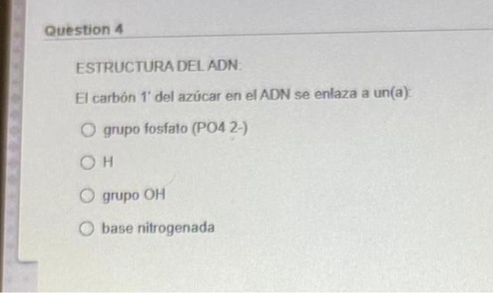 Question 4 ESTRUCTURA DEL ADN El carbón 1 del azúcar en el ADN se enlaza a un(a) O grupo fosfato (PO4 2-) OH O grupo OH base