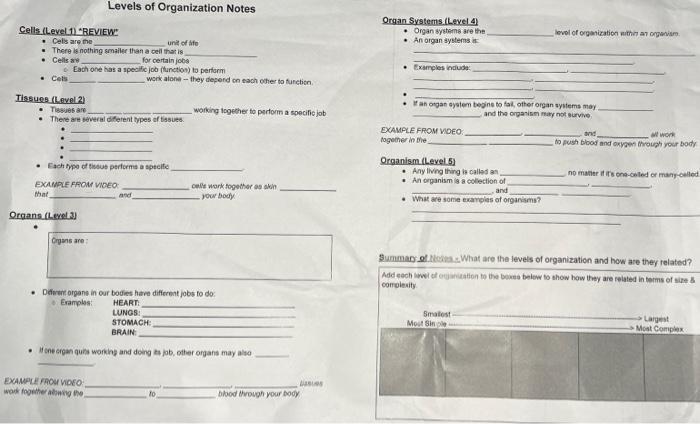 Solved Levels of Organization Notes Organ Systems (Level 4 • | Chegg.com