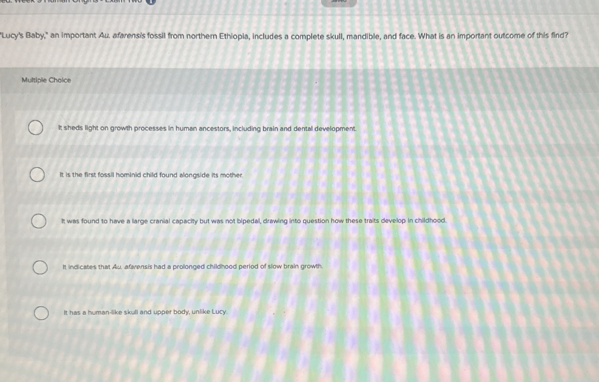 Solved "Lucy's Baby," an important Au. ﻿afarensis fossil