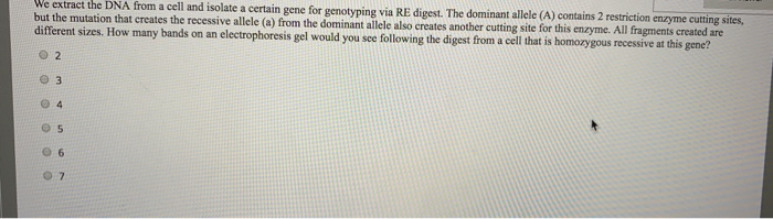 Solved we extract the DNA from a cell and isolate a certain | Chegg.com