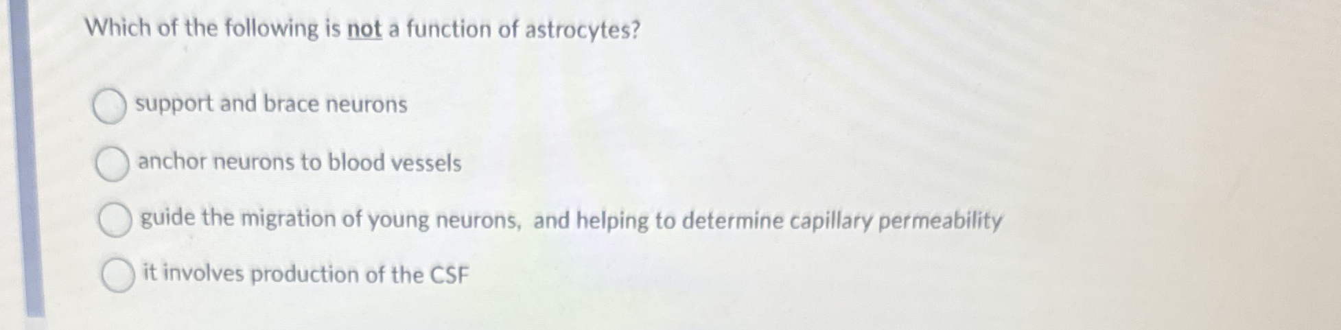 Brace Neurons And Anchor The Neurons To Capillaries.