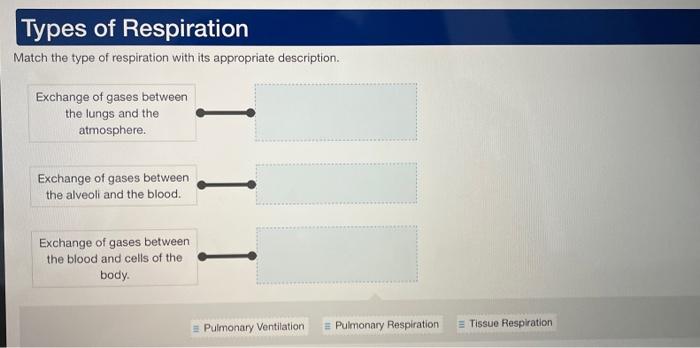 Solved Match the type of respiration with its appropriate | Chegg.com