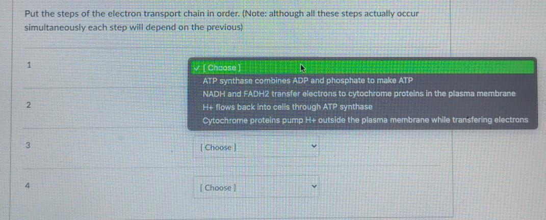 Solved Put the steps of the electron transport chain in | Chegg.com