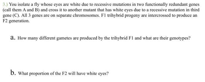 Solved 3.) You isolate a fly whose eyes are white due to | Chegg.com