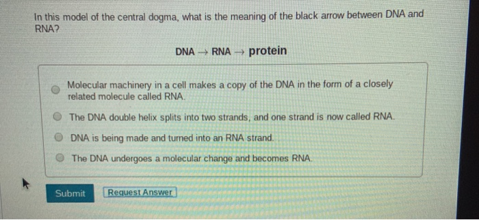 Solved In This Model Of The Central Dogma What Is The Me Chegg Com