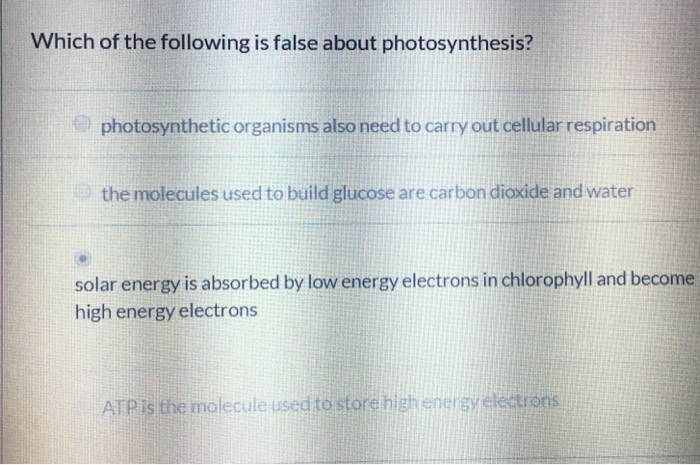 Solved Which of the following is false about photosynthesis? | Chegg.com
