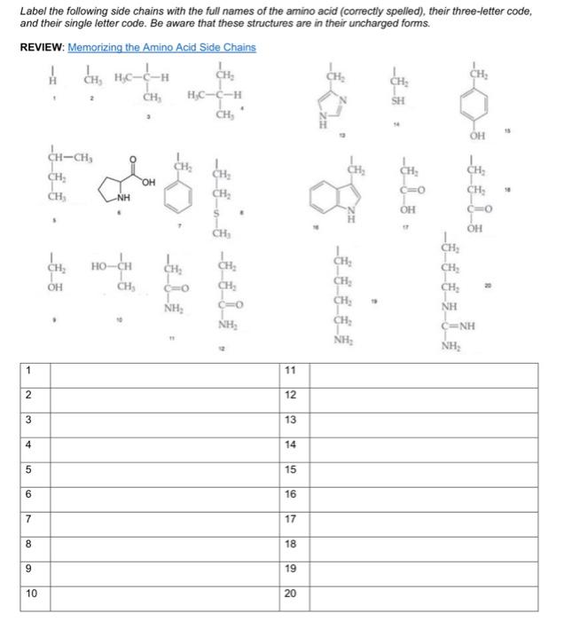 Solved Label the following side chains with the full names | Chegg.com