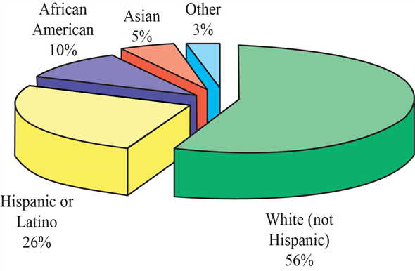 Pie Chart Of Ethnic Groups In America