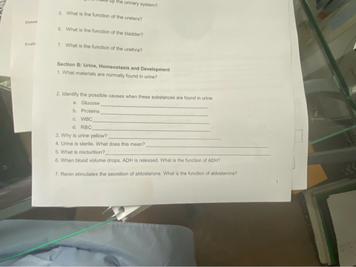 Solved up the urinary system? 5 What is the function of the 