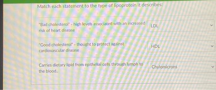 Solved Match each statement to the type of lipoprotein it | Chegg.com