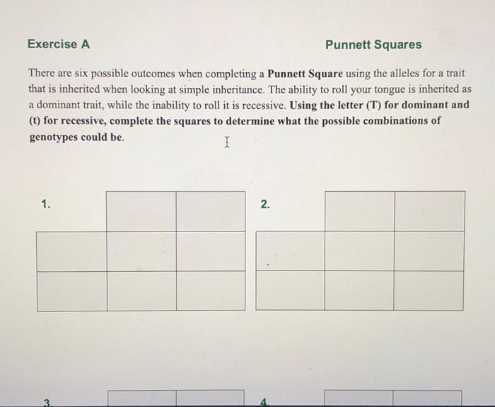 Solved Exercise A Punnett Squares There Are Six Possible | Chegg.com