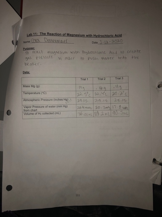 Solved Lab 11 The Reaction of Magnesium with Hydrochloric