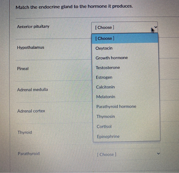 Solved Match the endocrine gland to the hormone it produces. | Chegg.com