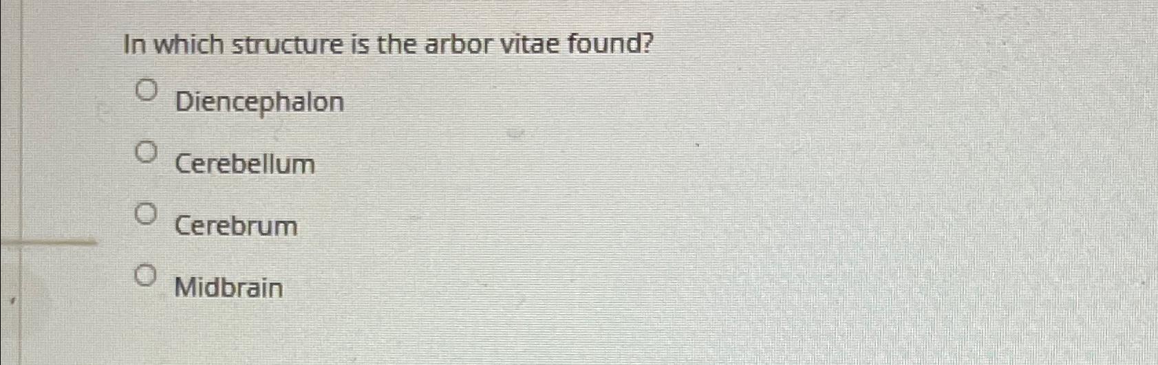Solved In which structure is the arbor vitae