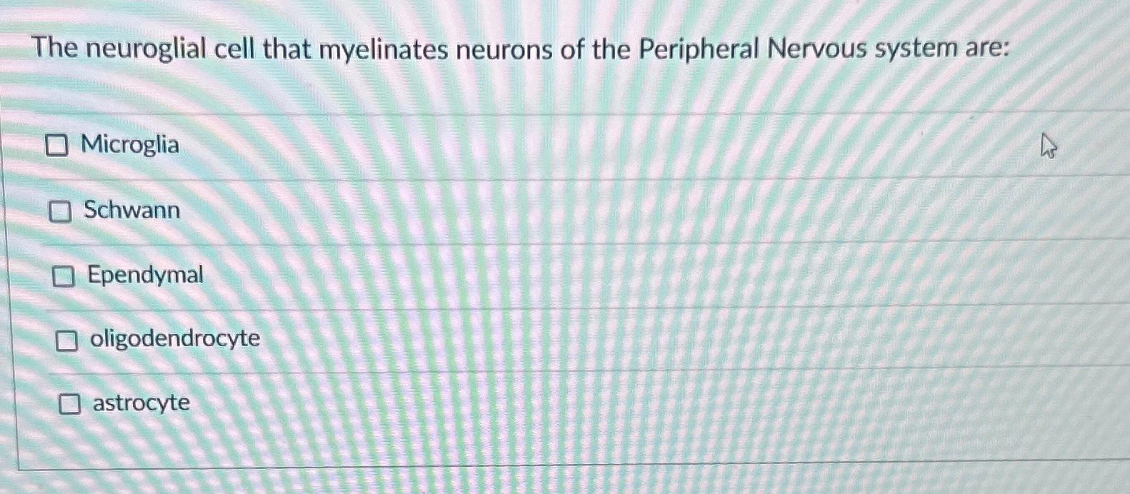 Solved The neuroglial cell that myelinates neurons of the | Chegg.com