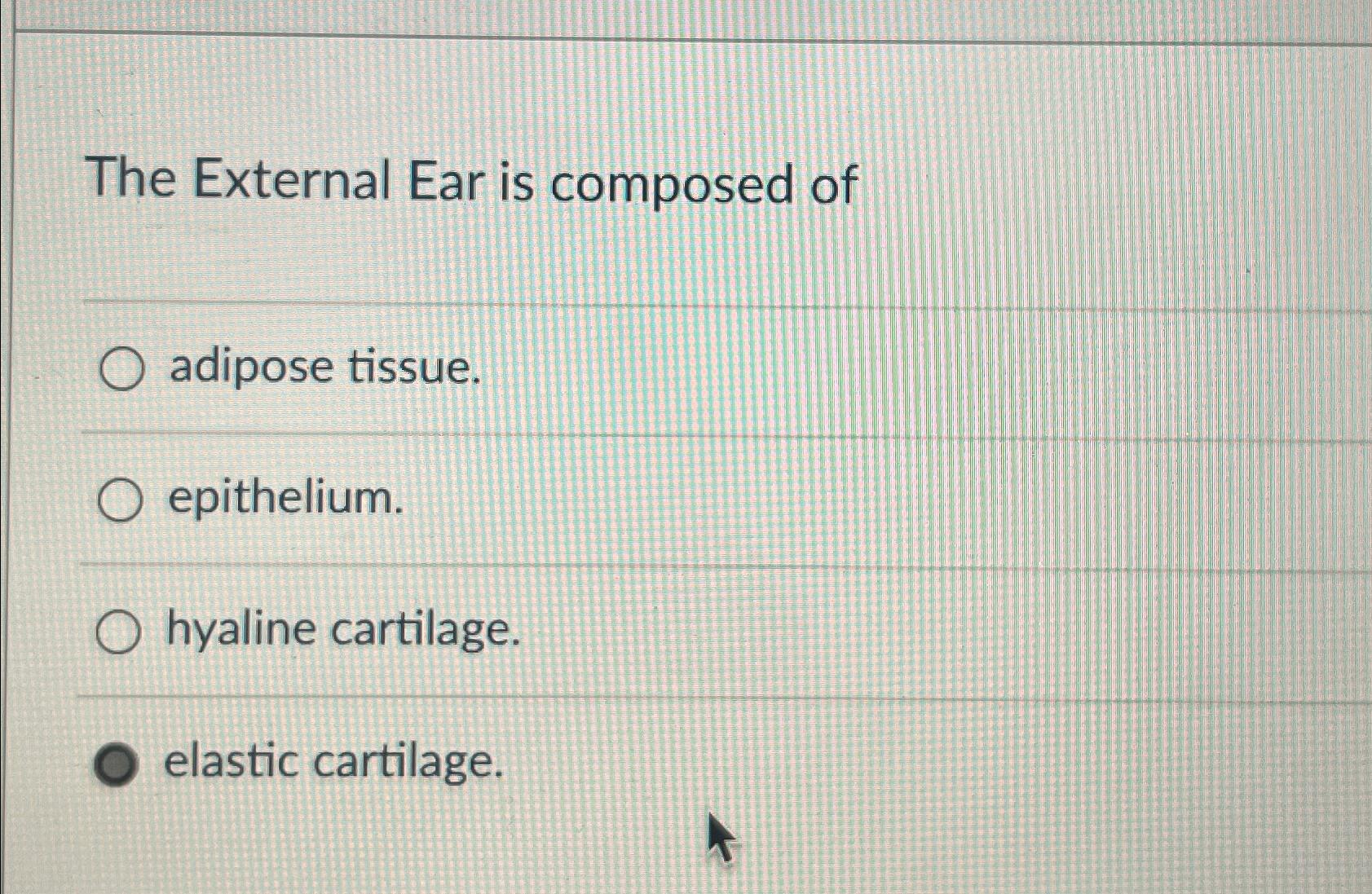 Solved The External Ear is composed ofadipose | Chegg.com