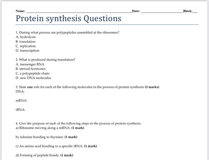 Solved Name Date Block Protein synthesis Questions 1.
