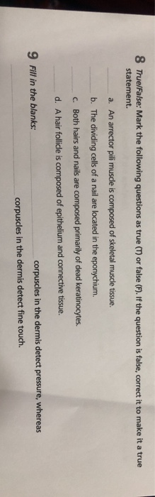 Solved 8 True False Mark The Following Questions As True Chegg