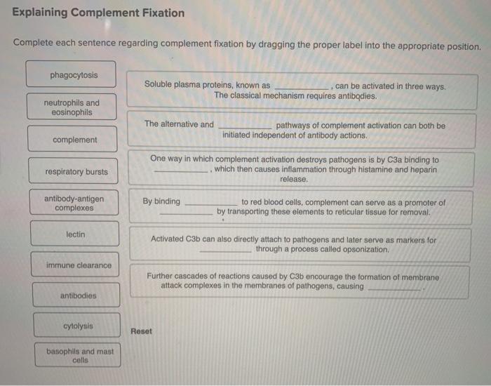 Solved Explaining Complement Fixation Complete each sentence