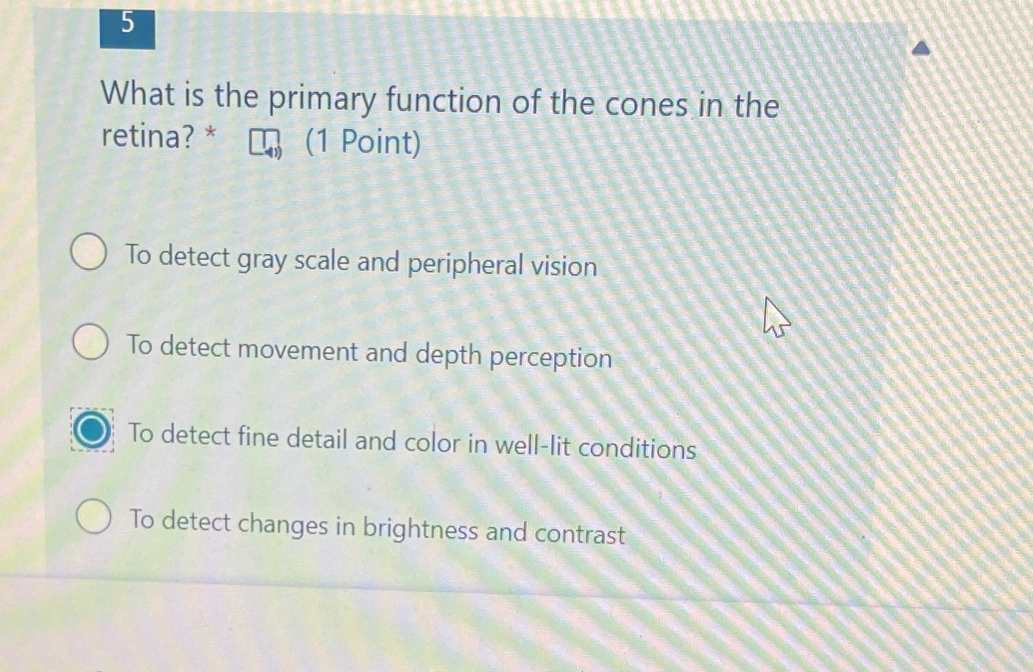 Solved What is the primary function of the cones in the