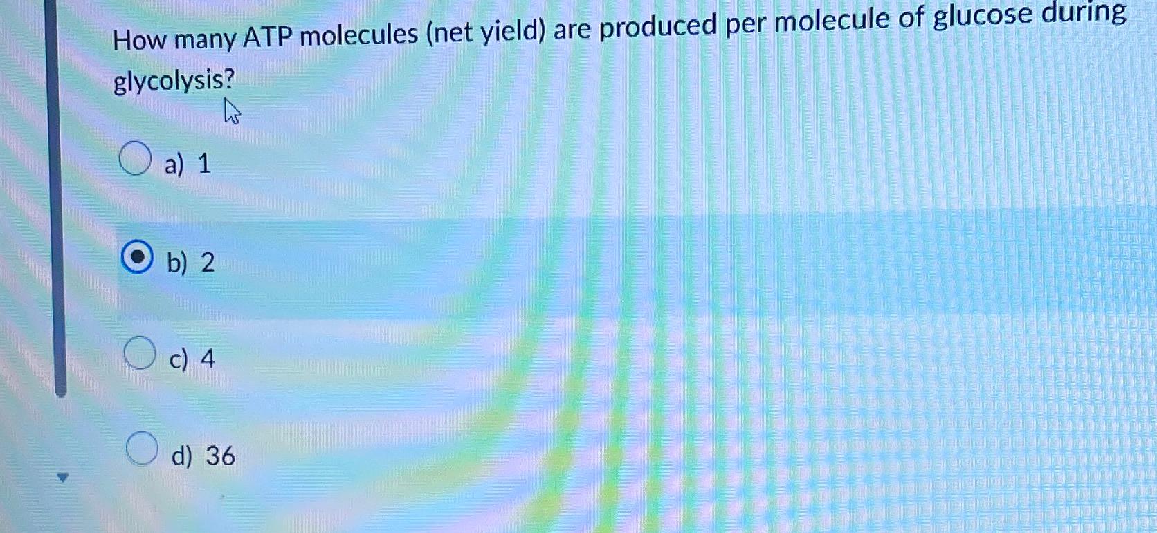 Solved How many ATP molecules yield) ﻿are produced per