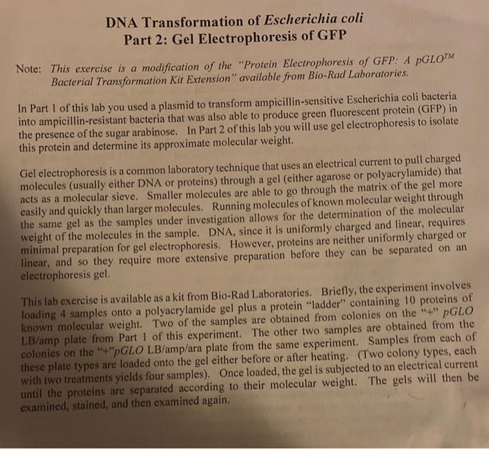 Solved Part 2 Gel Electrophoresis of GFP Note This
