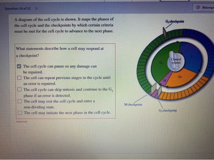 Solved Question 16 of 21 > Attemp! G checkpoint A diagram of | Chegg.com