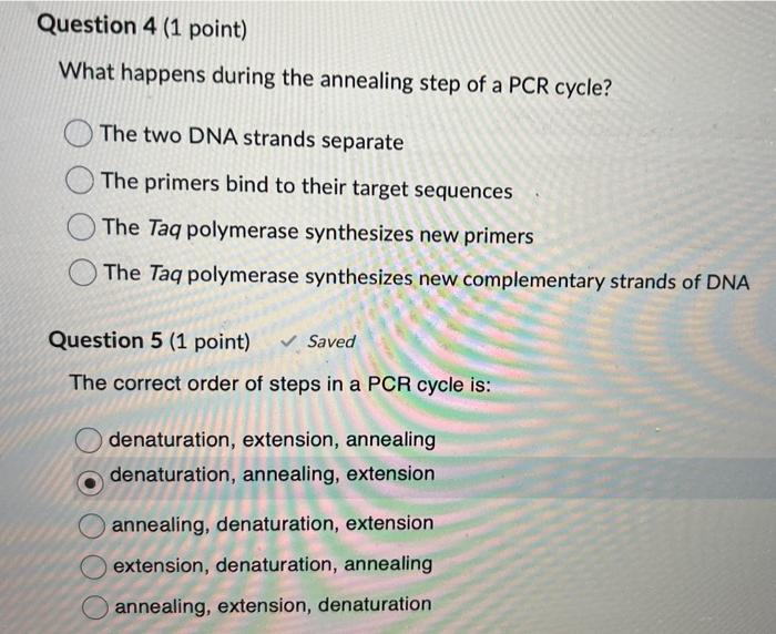 Solved The primers play three roles in a PCR reaction.
