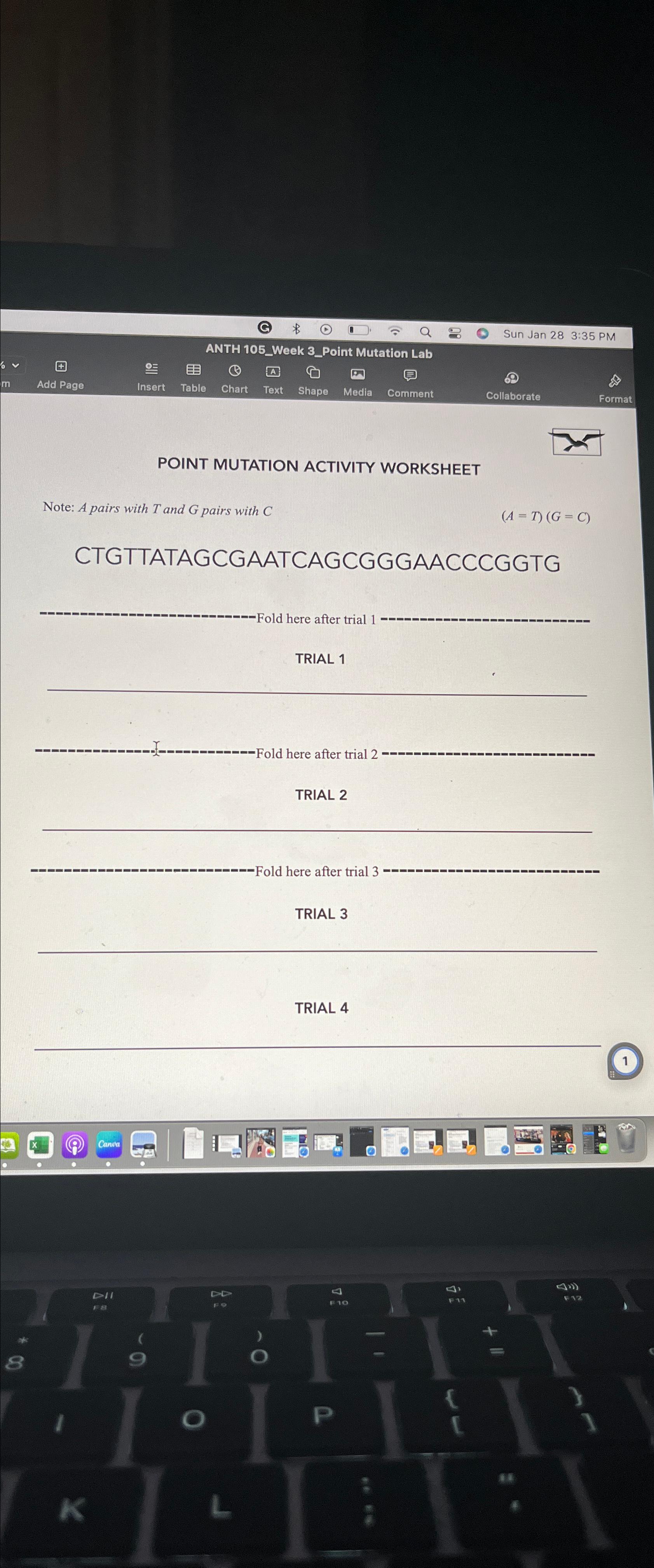 POINT MUTATION ACTIVITY WORKSHEETNote: A pairs with T | Chegg.com