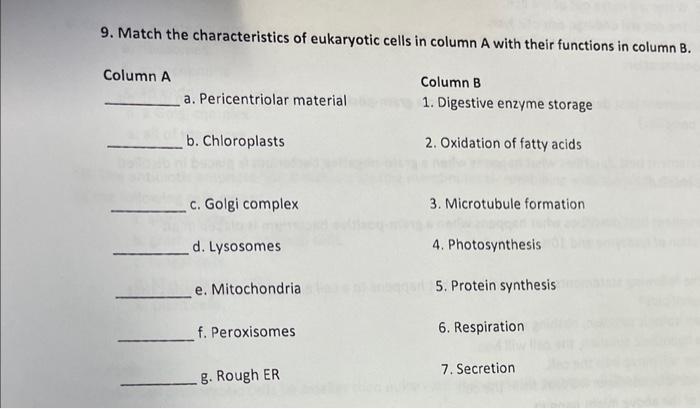 Solved 9. Match the characteristics of eukaryotic cells in | Chegg.com