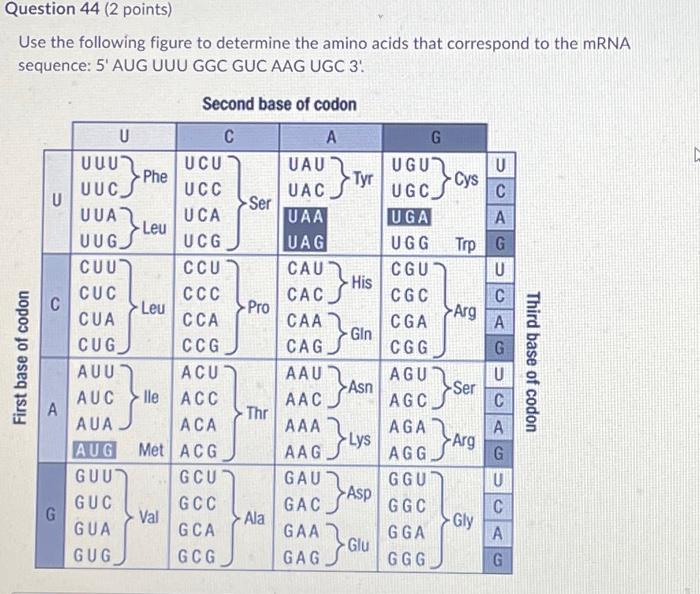 Solved Use the following figure to determine the amino acids | Chegg.com