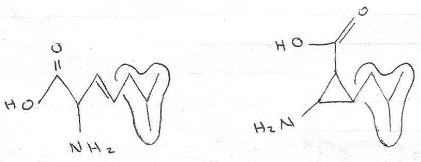 Solved Is my answer correct? Q. 6) ﻿Draw two possible | Chegg.com