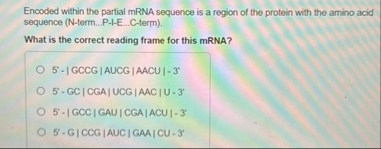 Solved Encoded within the partial mRNA sequence is a region | Chegg.com