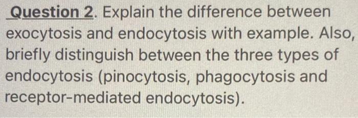 Solved Question 2 Explain The Difference Between Exocytosis Chegg Com