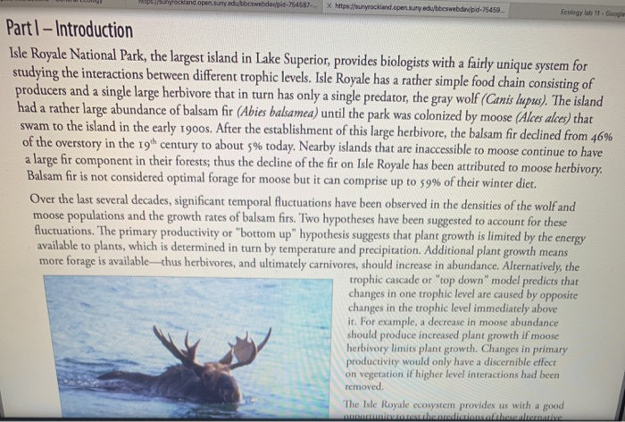 39 the moose and wolves of isle royale worksheet answers Worksheet Live