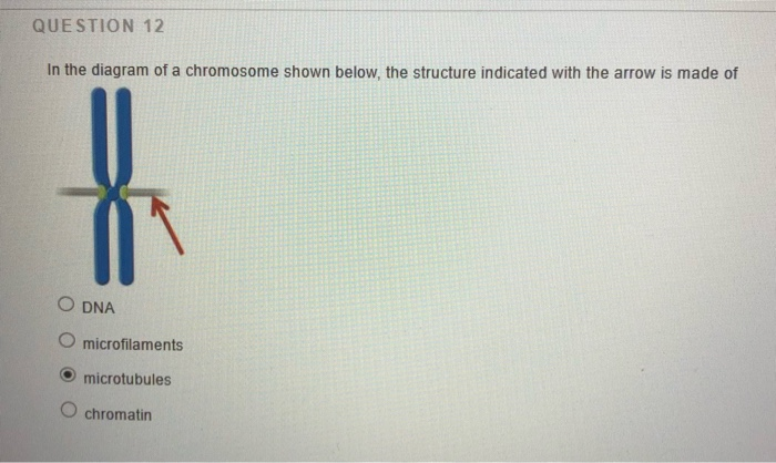 Solved QUE STION 1 during mitosis The function of the | Chegg.com