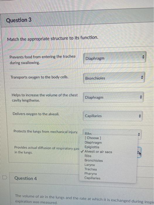 Solved Question 3 Match the appropriate structure to its | Chegg.com