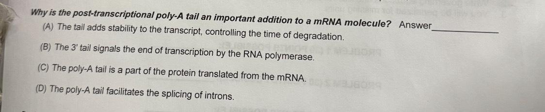 Solved Why is the post-transcriptional poly-A tail an | Chegg.com