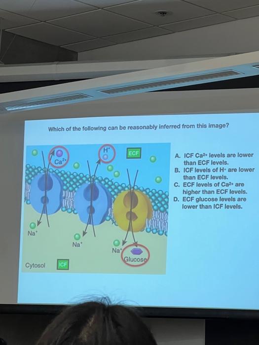 Solved Which of the following can be reasonably inferred | Chegg.com