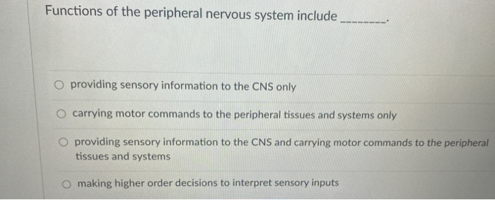 Solved Functions of the peripheral nervous system include O | Chegg.com