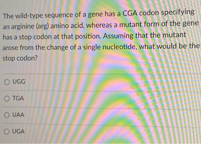 Solved The wild-type sequence of a gene has a CGA codon | Chegg.com